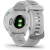 imageGarmin Forerunner 55 GPS Running Watch with Daily Suggested Workouts Up to 2 Weeks of Battery Life Black  0100256200White