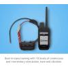 imageGarmin Alpha 200i Dog Tracking Handheld Utilizes inReach Technology Sunlightreadable 36quot Touchscreen 0100223050TT 15 Dog Tracking and Training Bundle