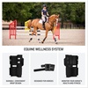 image:imageGarmin Blaze Equine Wellness System EasytoUse Tail Wrap and Sensor Health amp Wellness Insights